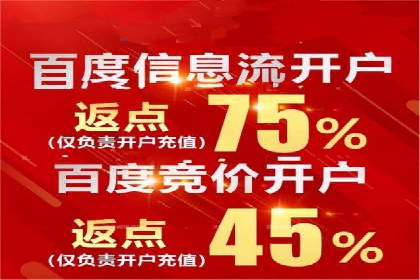 SEO策略在电商平台的成功应用案例
